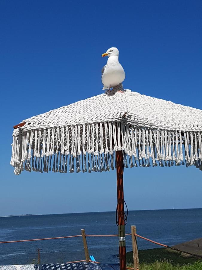 Romantisch Huisje Nabij Het Strand Met Uitzicht Op De Tulpenvelden Юліанадорп Екстер'єр фото