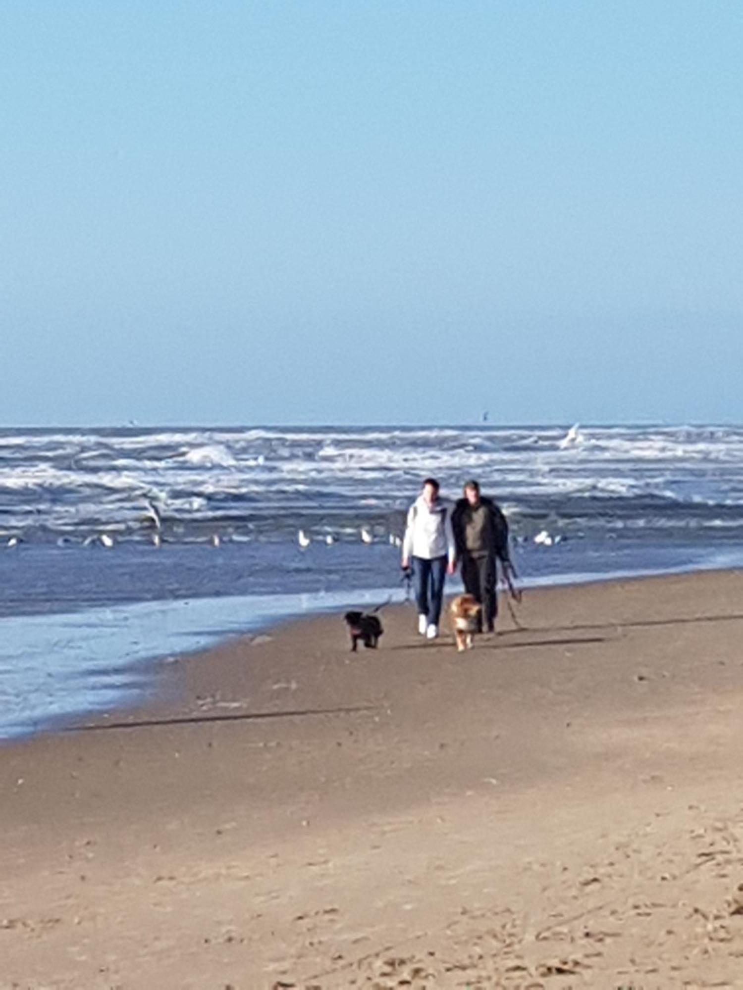 Romantisch Huisje Nabij Het Strand Met Uitzicht Op De Tulpenvelden Юліанадорп Екстер'єр фото