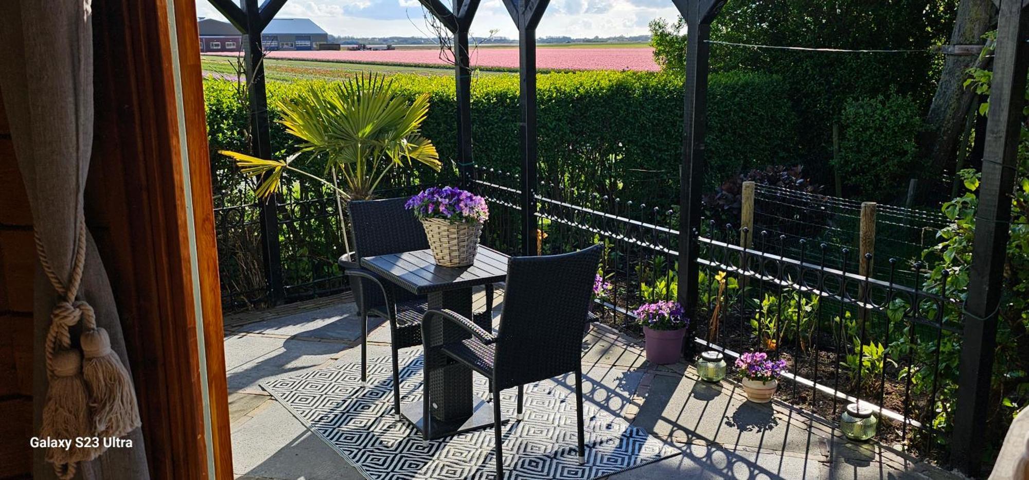 Romantisch Huisje Nabij Het Strand Met Uitzicht Op De Tulpenvelden Юліанадорп Екстер'єр фото