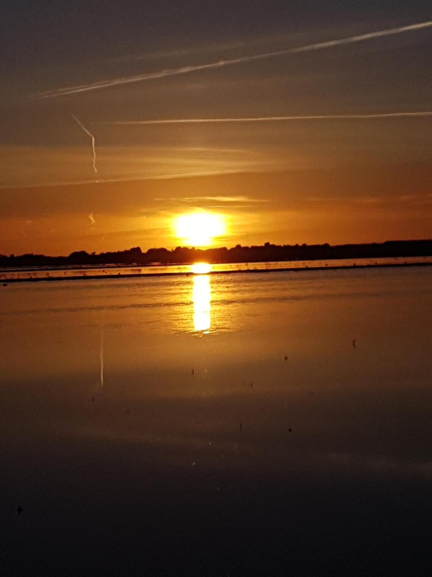 Romantisch Huisje Nabij Het Strand Met Uitzicht Op De Tulpenvelden Юліанадорп Екстер'єр фото