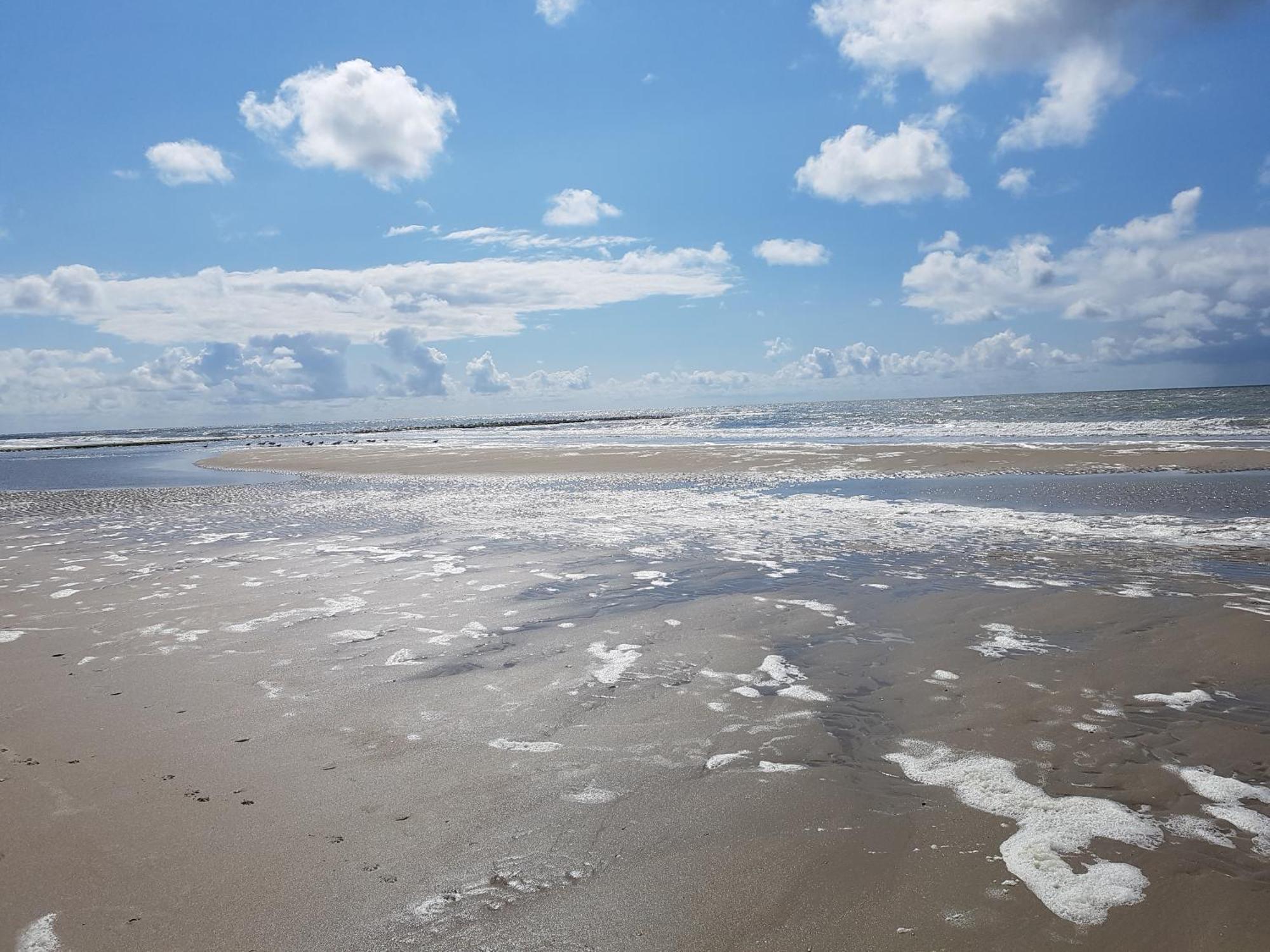 Romantisch Huisje Nabij Het Strand Met Uitzicht Op De Tulpenvelden Юліанадорп Екстер'єр фото