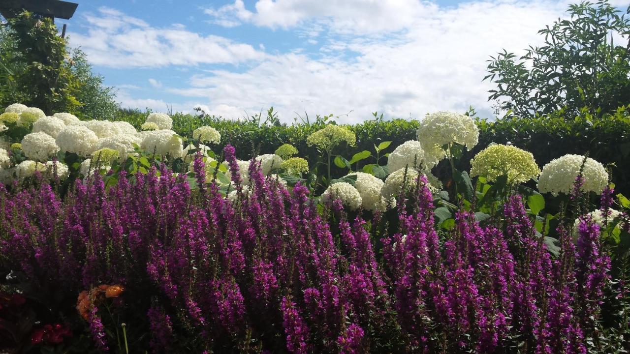 Romantisch Huisje Nabij Het Strand Met Uitzicht Op De Tulpenvelden Юліанадорп Екстер'єр фото