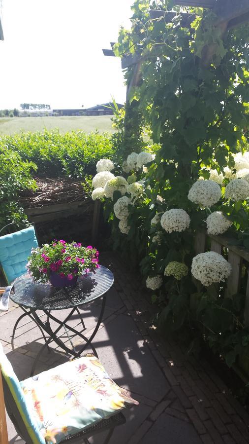 Romantisch Huisje Nabij Het Strand Met Uitzicht Op De Tulpenvelden Юліанадорп Екстер'єр фото